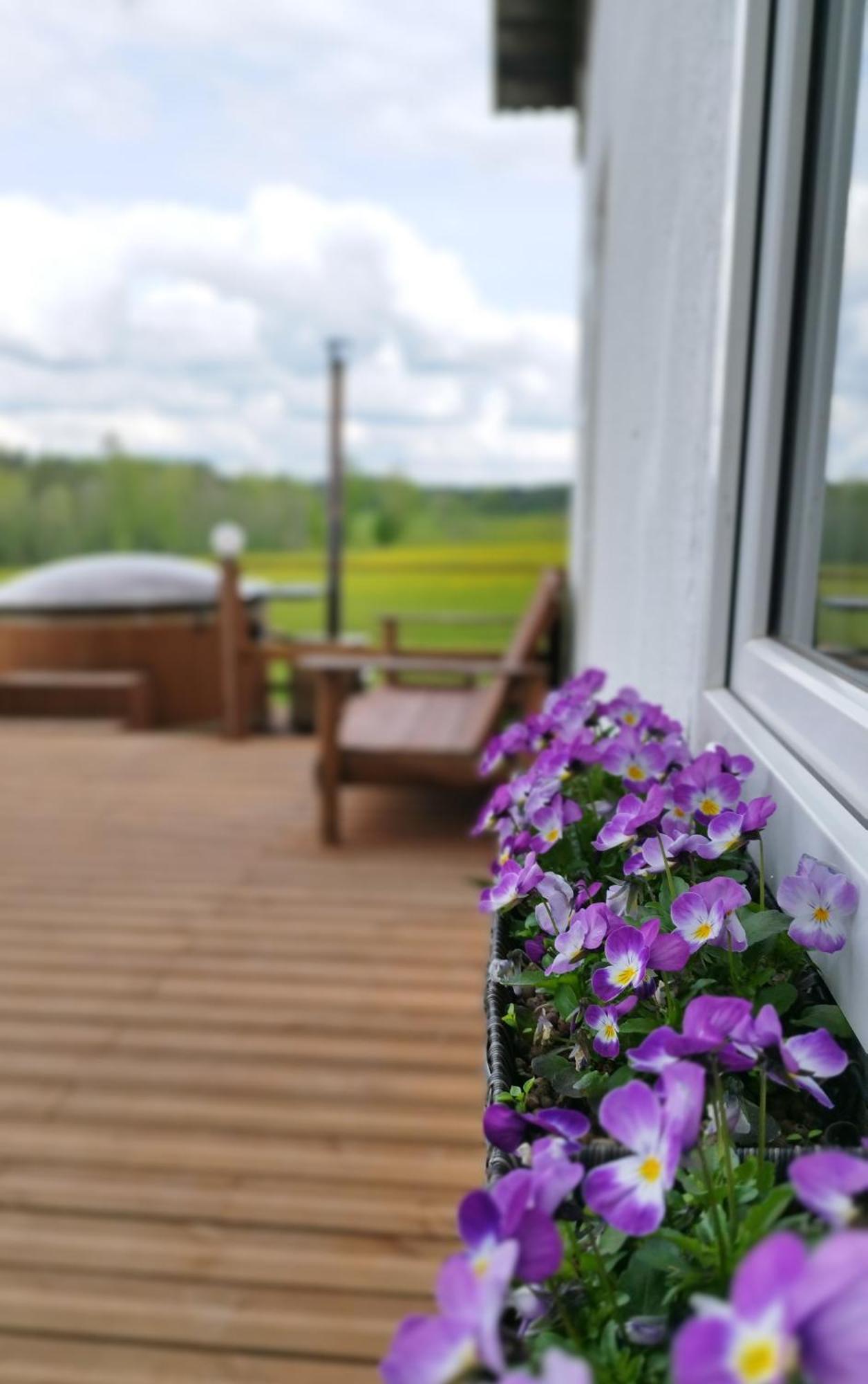 Unique Countryhouse & Sauna In Gauja Valley - Kakukalns Vila Straupe Exterior foto