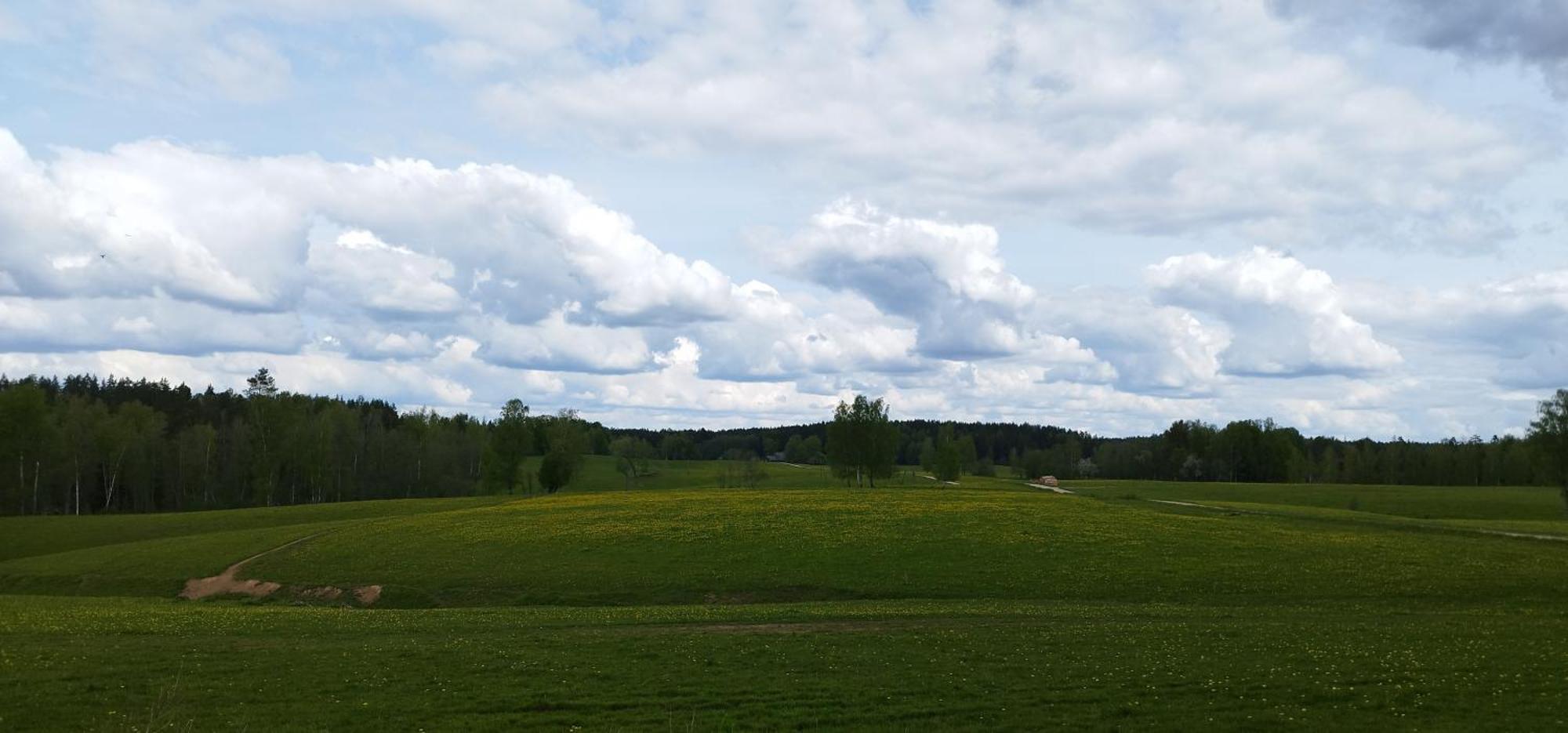 Unique Countryhouse & Sauna In Gauja Valley - Kakukalns Vila Straupe Exterior foto