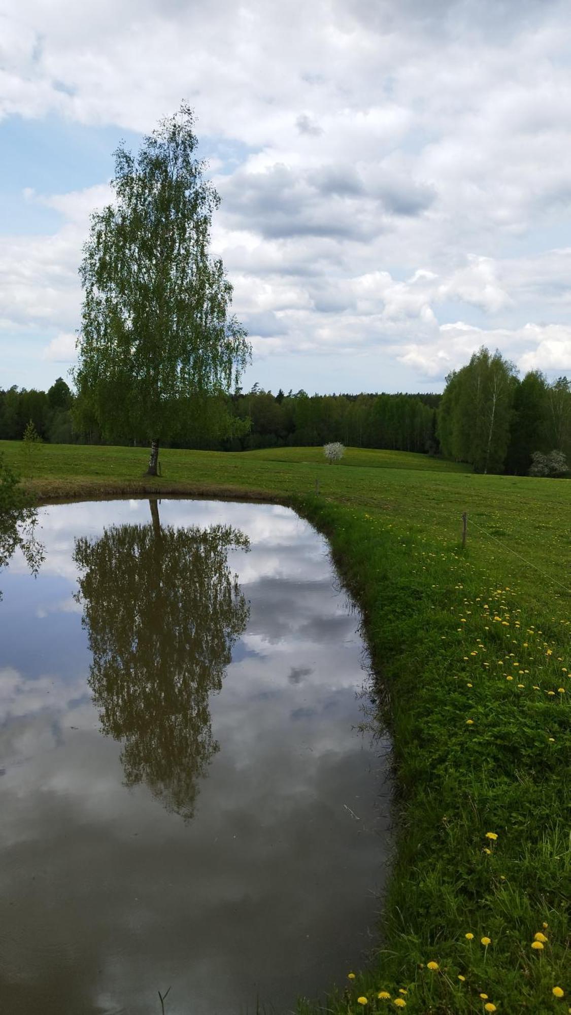 Unique Countryhouse & Sauna In Gauja Valley - Kakukalns Vila Straupe Exterior foto