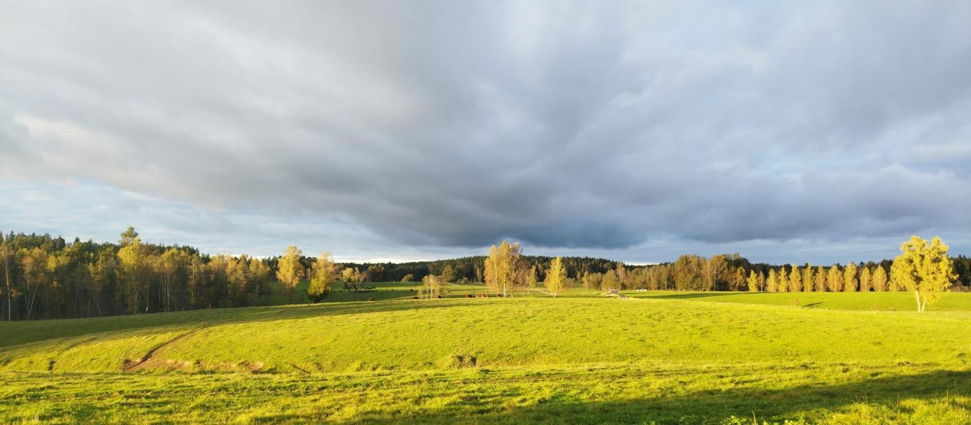 Unique Countryhouse & Sauna In Gauja Valley - Kakukalns Vila Straupe Exterior foto